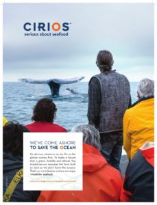 cirios adverts
