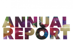 annual report writing
